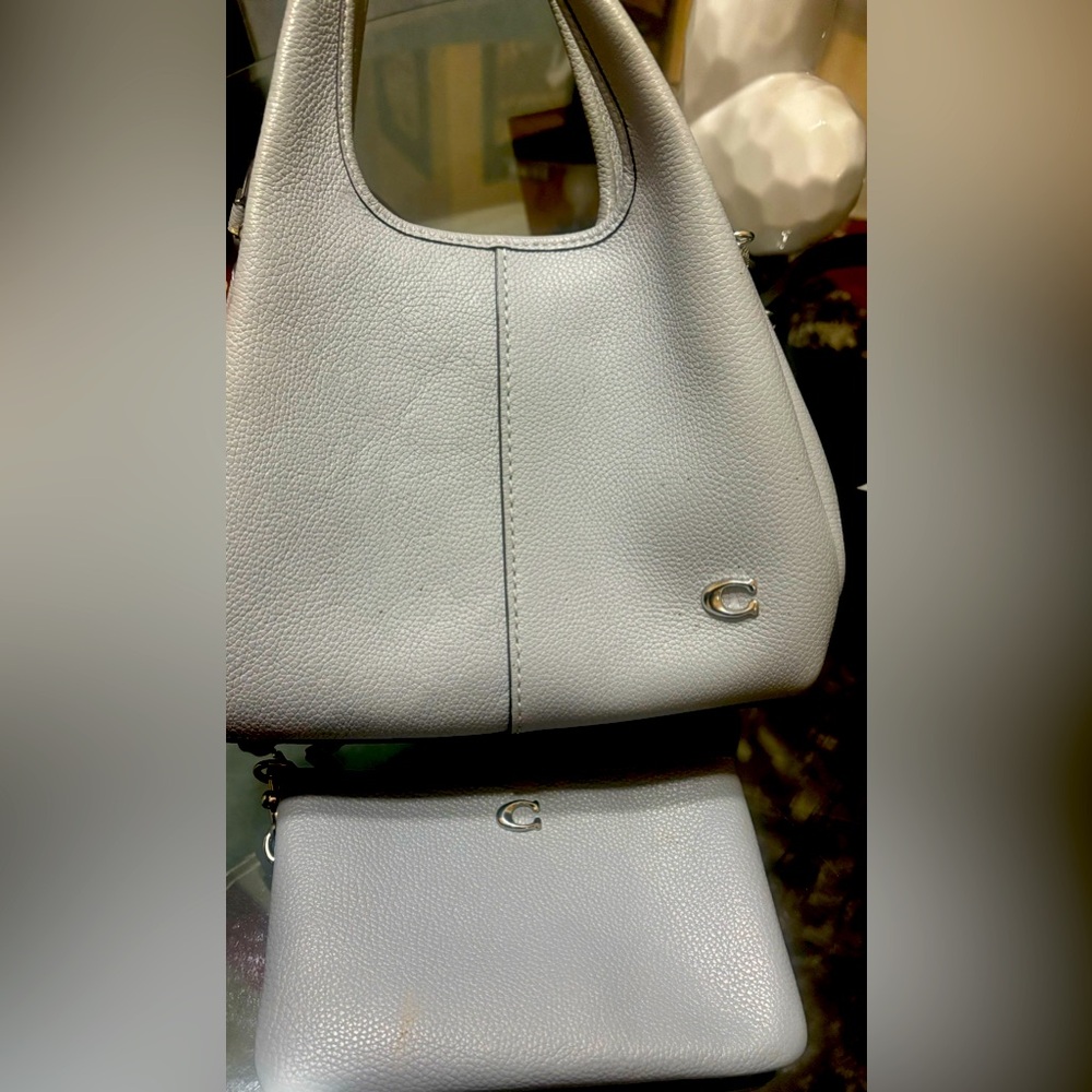 Lana leather gray coach purse with wallet